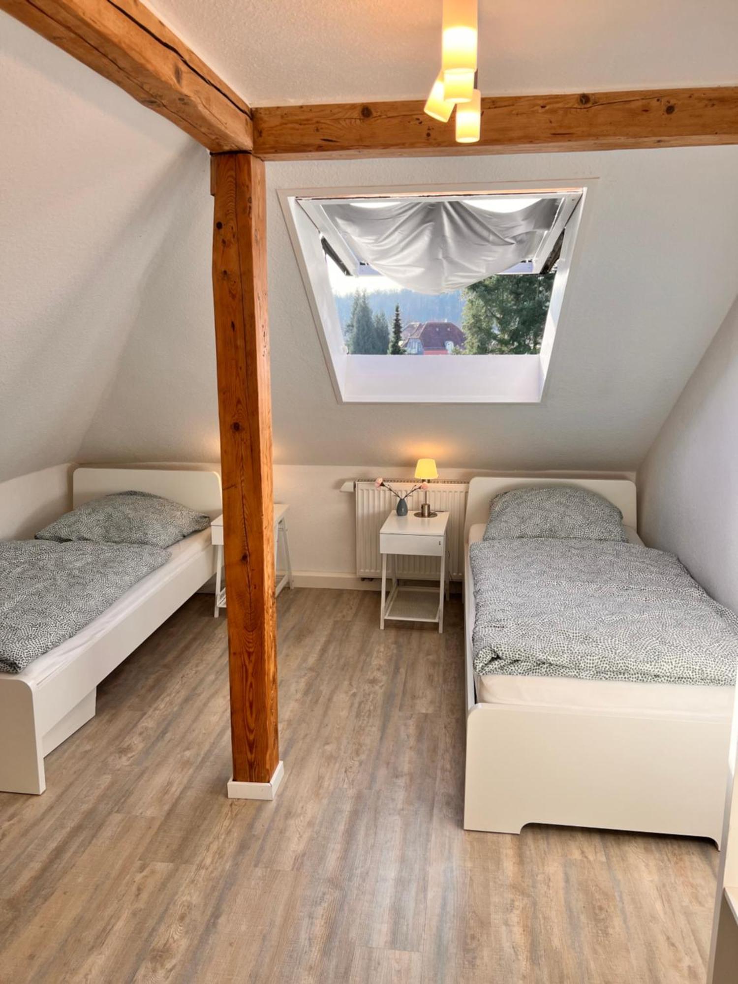 Mc Monti Giessen - Lich, 70Qm, Zentral, Netflix Apartman Kültér fotó